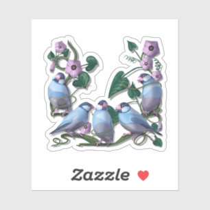 Java sparrows 