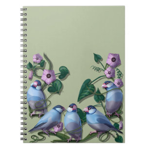 Java sparrows  notebook