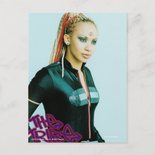Java The Tribe Postcard