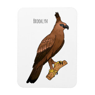 Javan hawk eagle bird cartoon illustration magnet