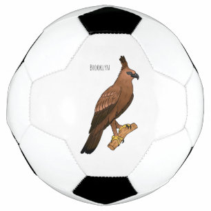 Javan hawk eagle bird cartoon illustration soccer ball