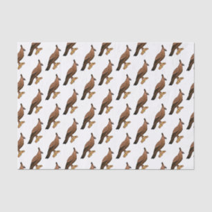 Javan hawk eagle bird cartoon illustration tissue paper