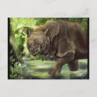 Javan Rhino Art