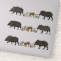 Javelina Family Portrait Coloured Pencil Art SET O