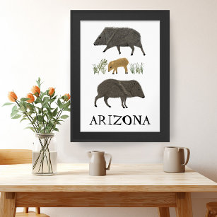 Javelina Family Portrait Desert Animals ARIZONA Poster
