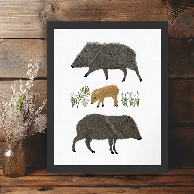 Javelina Family Portrait Desert Animals Poster (Javelina Family Portrait Desert Animals Poster Wall Art Illustration)