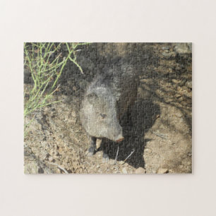 Javelina Jigsaw Puzzle