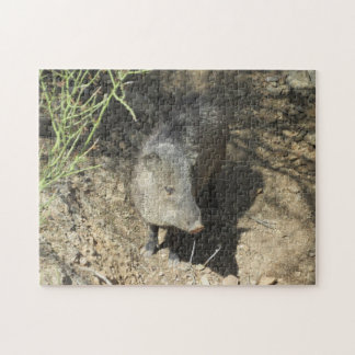 Javelina Jigsaw Puzzle