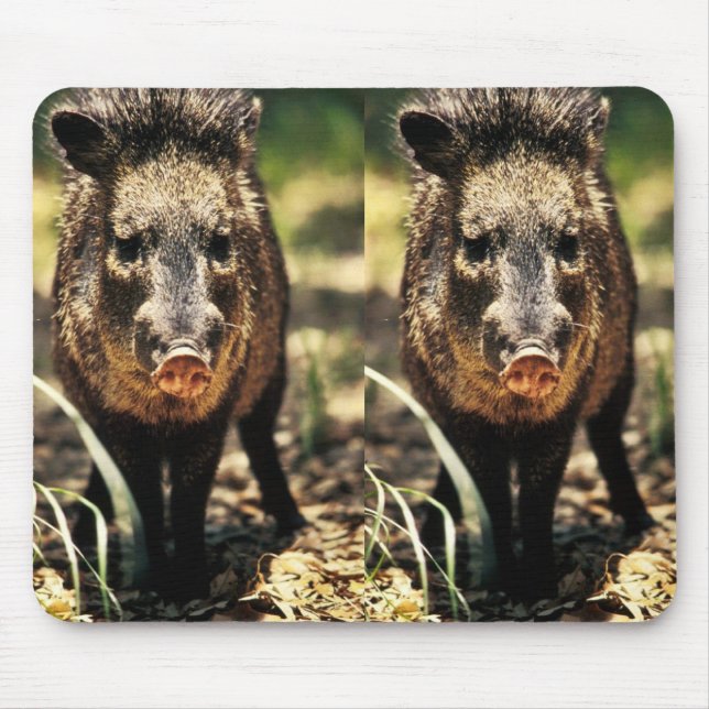 Javelina Mouse Pad (Front)