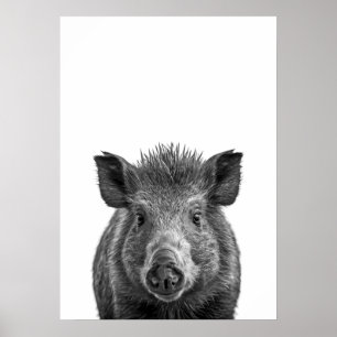 Javelina Peccary pig Desert Portrait black white Poster