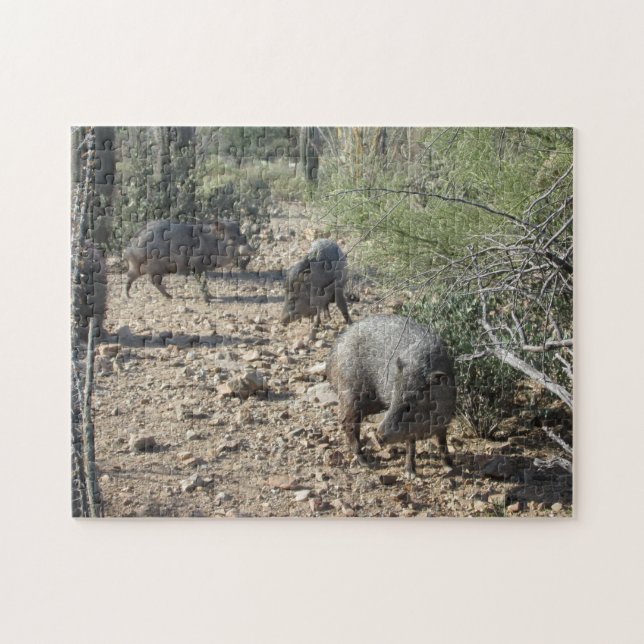 Javelina Puzzle (Horizontal)