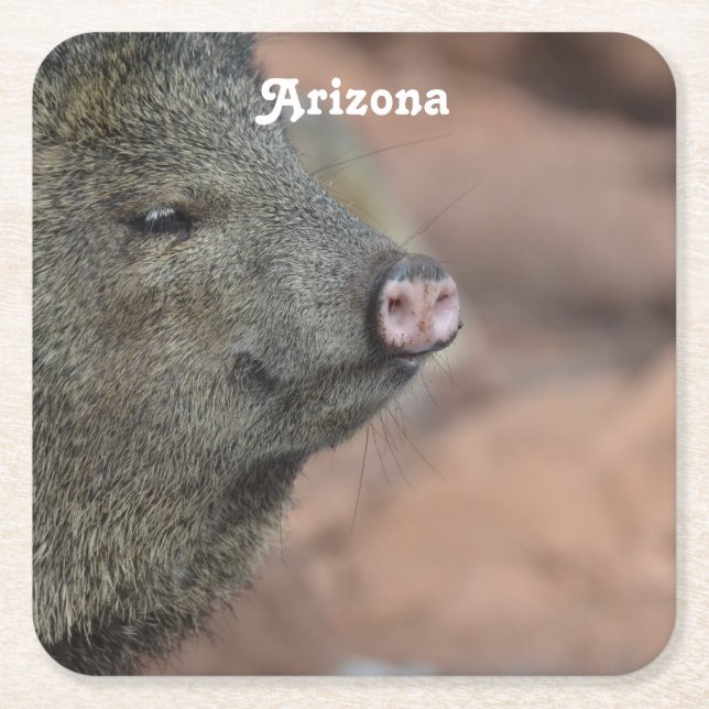 Javelina Square Paper Coaster (Front)
