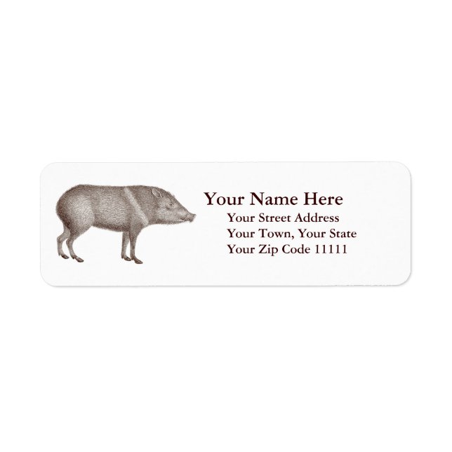 Javelinas Collared Peccaries Unique Arizona Return Address Label (Front)