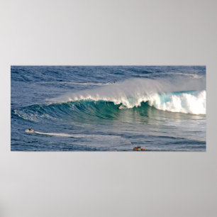 Jaws Inside Tube Poster