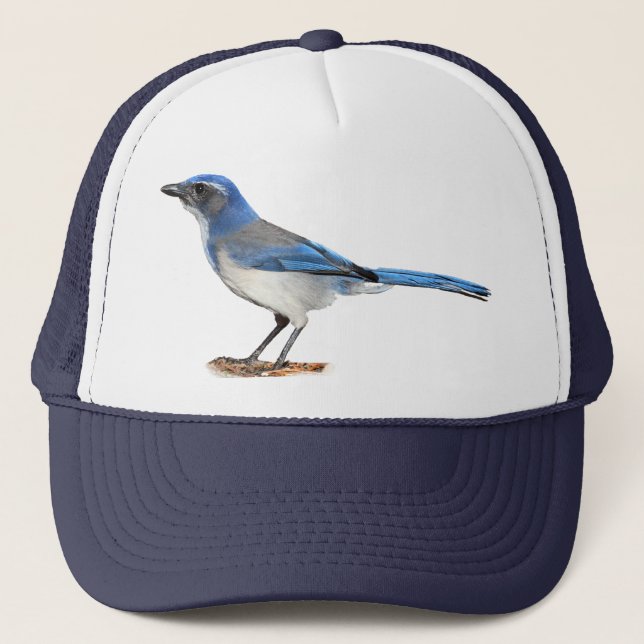 JAY 2 TRUCKER HAT (Front)