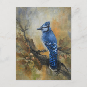 Jay Bird Postcard