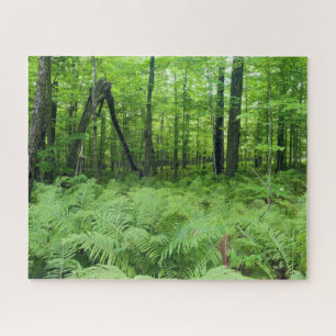 Jay Cooke State Park Ferns and Forest Jigsaw Puzzle