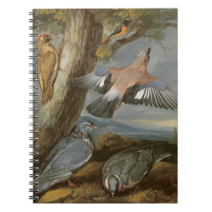Jay, Green Woodpecker, Pigeons and Redstart, c.165 Notebook