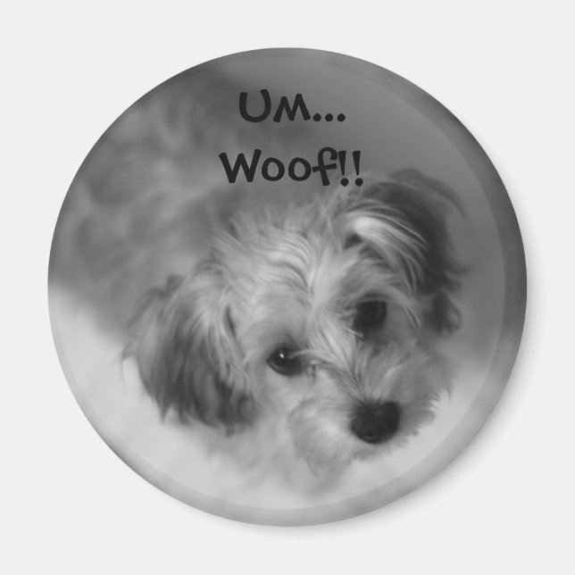 Jazzie Magnet (Front)