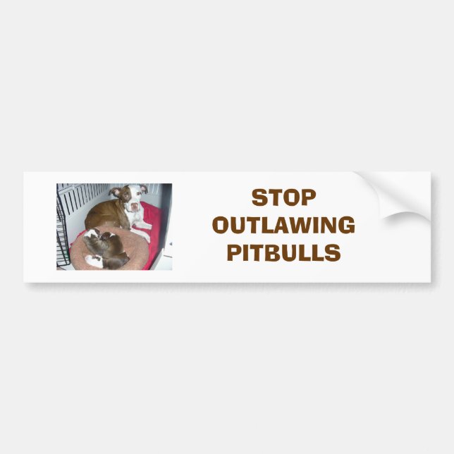 Jazzy_001, STOP OUTLAWING PITBULLS Bumper Sticker (Front)
