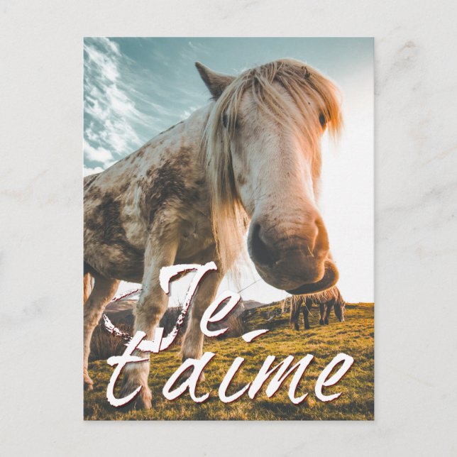 Je t'aime avec regardé cheva holiday postcard (Front)