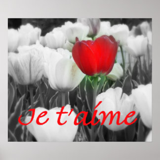 Je t'aime Red Tulip Print