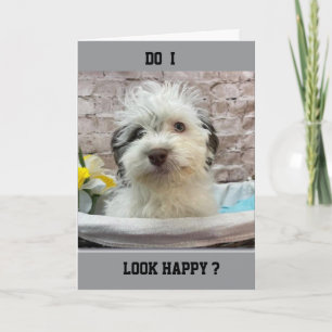 JEALOUS PUPPY WISHES U "HAPPY BIRTHDAY" CARD