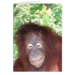 Jealousy: Beautiful Redhead