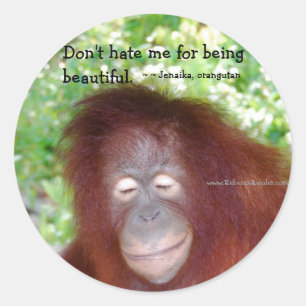 Jealousy: Beautiful redhead Classic Round Sticker