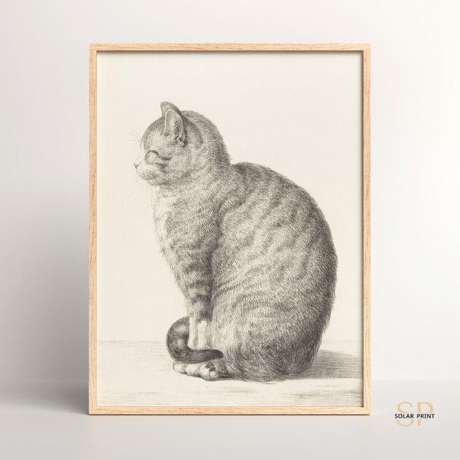 Jean Bernard Sitting Cat Animal Fine Art Artistry Poster (Creator Uploaded)