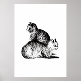 Jean Bernard's two cats combination Poster