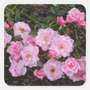 Jeanne LaJoie Rose #1 Stickers
