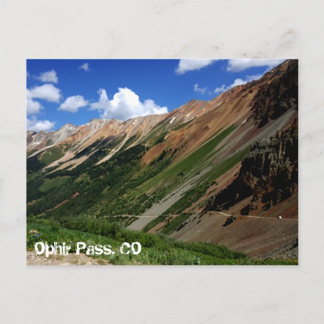 Jeeps on Ophir Pass in Colorado Postcard (Front)