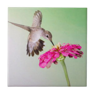 Jeff Davis County, Texas Ceramic Tile