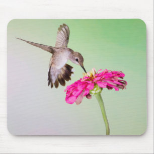 Jeff Davis County, Texas Mouse Pad