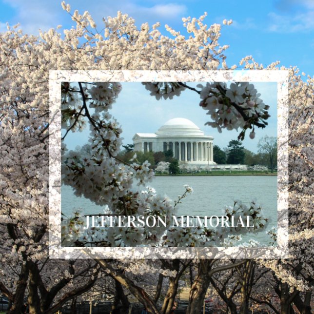 Jefferson Memorial, Cherry Blossoms, Tidal Basin Postcard (Creator Uploaded)