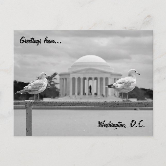Jefferson Memorial / Tidal Basin Postcard (Front)