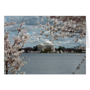 Jefferson Memorial with Cherry Blossoms