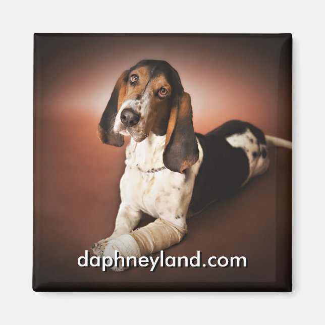 Jefferson with cast Magnet (Front)