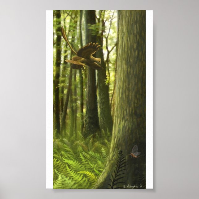 Jehol Juxtaposition Print (Front)