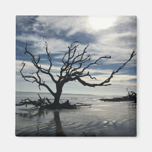 Jekyll Island Georgia Magnet