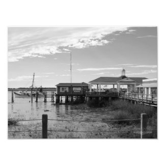Jekyll Island - Georgia Photo Print