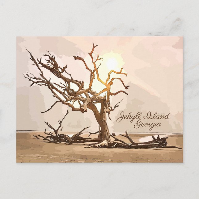 Jekyll Island Georgia Postcard (Front)