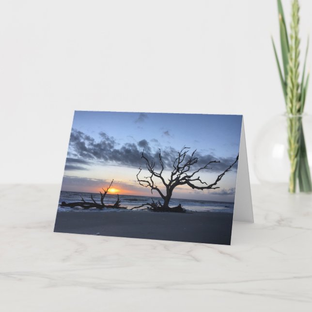 jekyll island sunrise card #1 (blank inside) (Front)