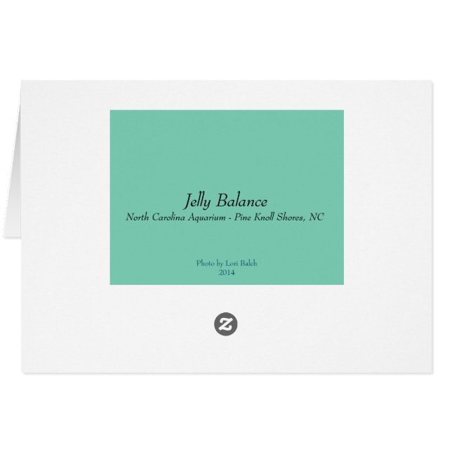 Jelly Balance (Back Horizontal)