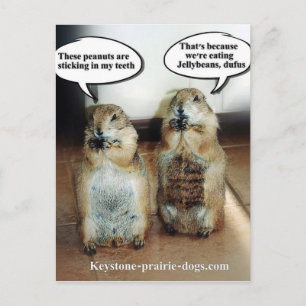 Jelly beans postcard