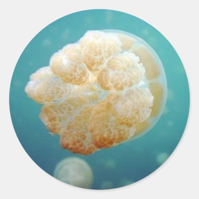 Jelly Classic Round Sticker (Front)