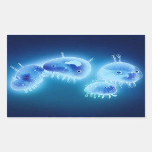Jelly fish 2013 rectangular sticker