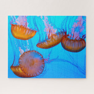 Jelly Fish Jigsaw Puzzle