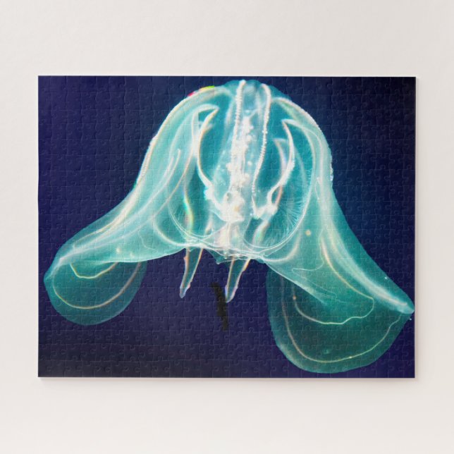 Jelly Fish Jigsaw Puzzle (Horizontal)